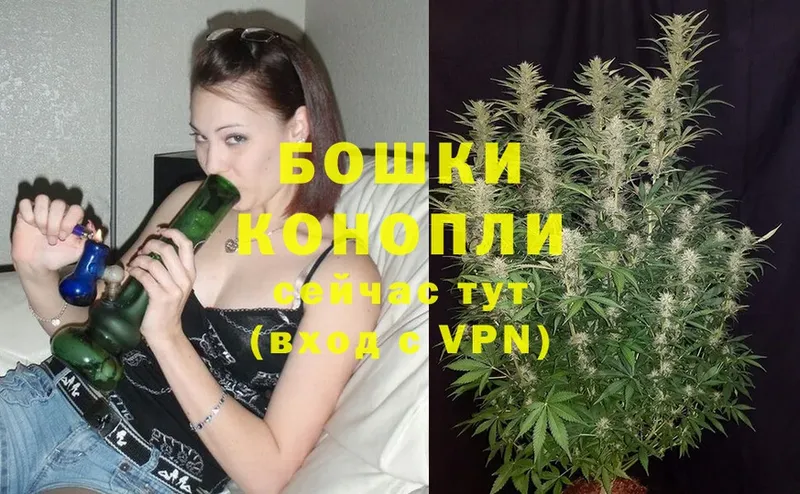 как найти закладки  Всеволожск  Бошки марихуана OG Kush 